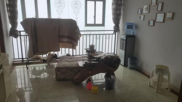 一套精装房出租，三室两厅